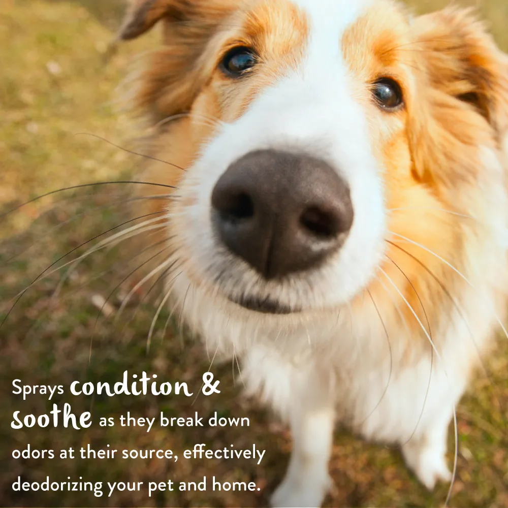 Tropiclean Berry Breeze Cologne Spray for Dogs and Cats